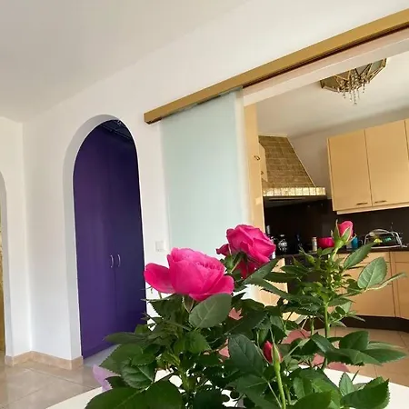 Lägenhet Amazing Skyline Penthouse - 300m2! Graz